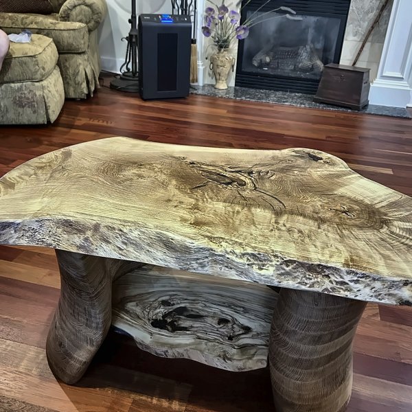 Sculptural Burl Coffee Table
