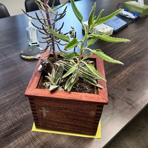 Box-Jointed Padauk Planter